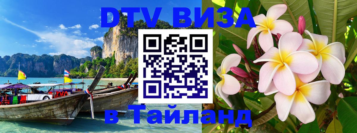 Сколько стоит DTV виза — актуальные цены, оформление даже без документов - 03.10.2025 